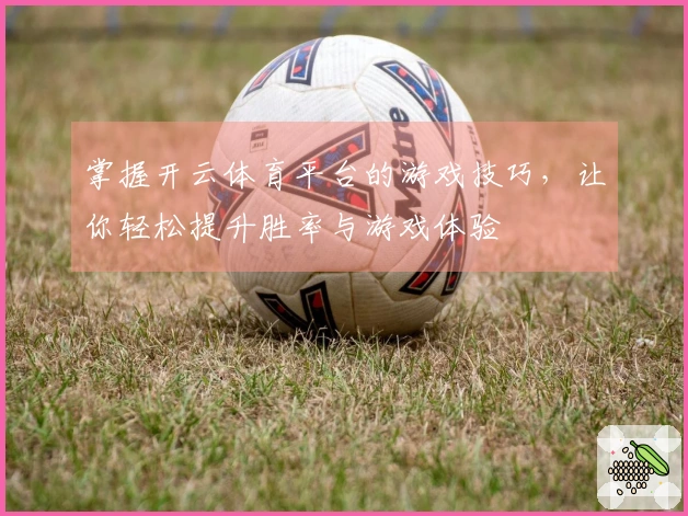 掌握开云体育平台的游戏技巧，让你轻松提升胜率与游戏体验